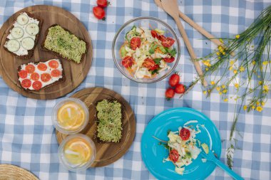 Piknik sepetinin üstünde sağlıklı vejetaryen sandviçler ve parkta mavi kareli battaniye. Taze meyve, sebze ve portakal suyu. Vegan piknik konsepti