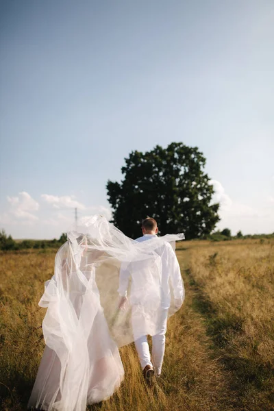 Vue arrière du couple de mariage marcher jusqu'au grand arbre dans le champ. Mariée et fiancée dehors. Mariage d'été — Photo