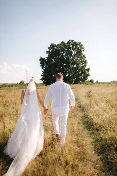 Rückansicht des Hochzeitspaares zu Fuß zu einem großen Baum im Feld. Bräutigam und Braut im Freien. Sommerhochzeit — Stockfoto