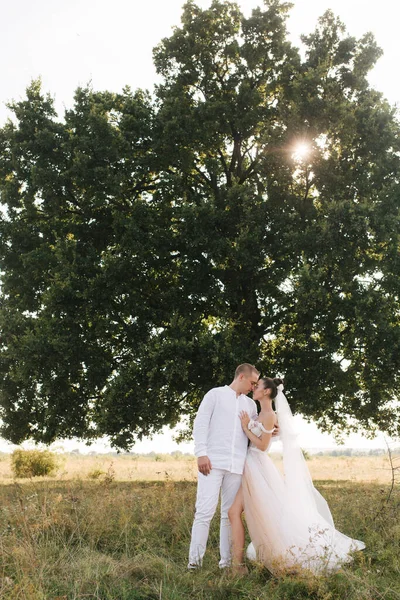 Sposa e sposo dello sfondo di grande albero nel campo si baciano — Foto Stock