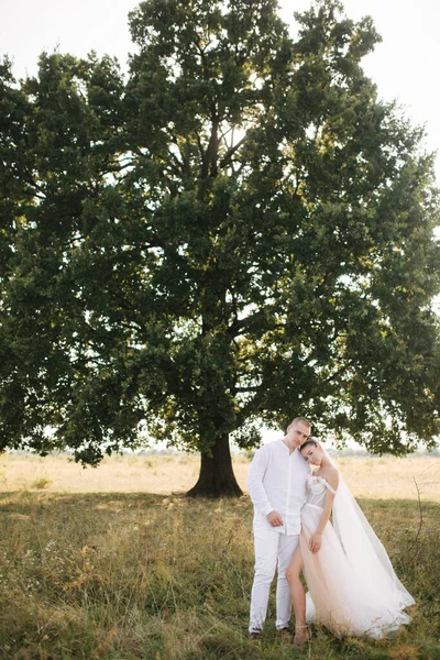Наречений і наречений на тлі великого дерева в полі цілують один одного — стокове фото