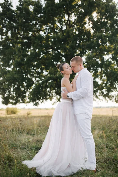 Junge und schöne Braut mit schönen Bräutigam umarmen einander küssen und lächeln. Porträt eines glücklichen Hochzeitspaares vor dem Hintergrund des großen Baumes — Stockfoto