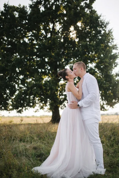 Junge und schöne Braut mit schönen Bräutigam umarmen einander küssen und lächeln. Porträt eines glücklichen Hochzeitspaares vor dem Hintergrund des großen Baumes — Stockfoto