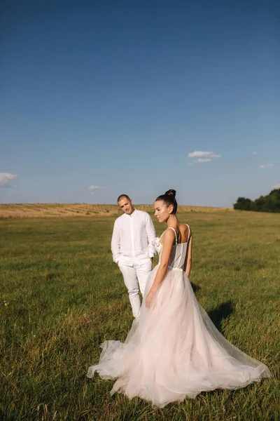 Wunderschöne Braut mit hübschem Bräutigam spazieren nach der Trauung auf dem Feld. Frischvermählte posieren für Fotograf — Stockfoto