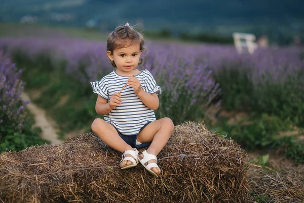 Imádnivaló kislány ül a szénán a farm mellett. A nyári levendulamező háttere. Aranyos lány csíkos pólóban és kék nadrágban. — Stock Fotó