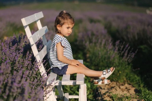 Милая маленькая девочка сидит на скамейке в лавандовом поле. Летний закат — стоковое фото