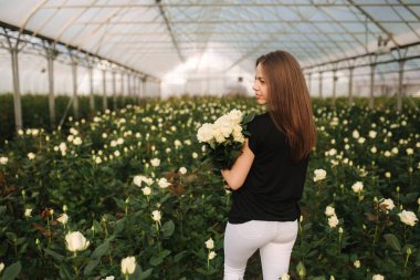 Elinde buket beyaz gül olan genç bir kadın seradaki gül tarlasının içinde duruyor.