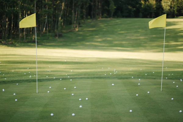 Krásný green field golf a spousta golfových míčků na trávě — Stock fotografie