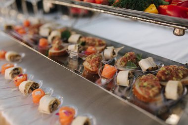 Partide farklı luzury aperatifleri ve antipasto. Açık hava atıştırmalıkları olan konser masası.