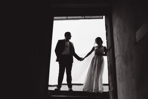 Silhouet van bruidegom en bruidegom staan en kijken naar elkaar — Stockfoto