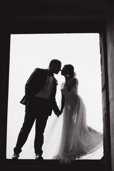 Silhouette du marié et de la mariée se tiennent debout et regardent les uns les autres — Photo