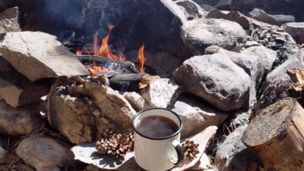 Rano Gorąca Filiżanka Kawy Dymem Pobliżu Kominka Świeżym Powietrzu Weekend — Wideo stockowe