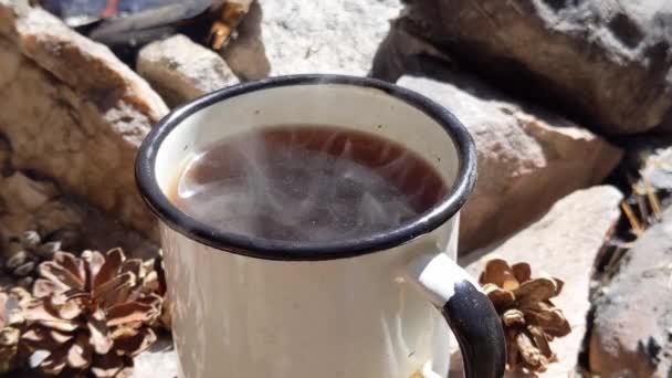 Hot Cup Coffee Smoke Fireplace Outdoors Weekend Forest Tasty Breakfast — 비디오