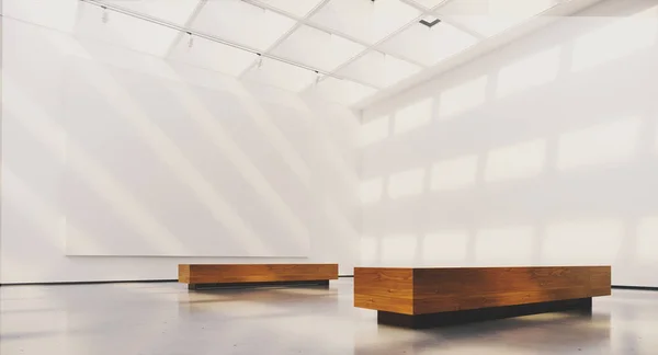 Interior da exposição com molduras em branco. Galeria com luzes spot, luz solar natural e tela vazia. Renderização 3d — Fotografia de Stock