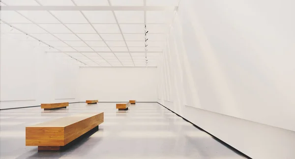 Exposición interior con marcos en blanco. Galería con focos, luz natural y lienzo vacío. renderizado 3d — Foto de Stock