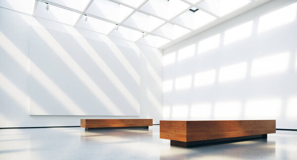 Галерея интерьера с чистыми рамками пятно огни и естественные солнечные лучи. 3d-рендеринг
