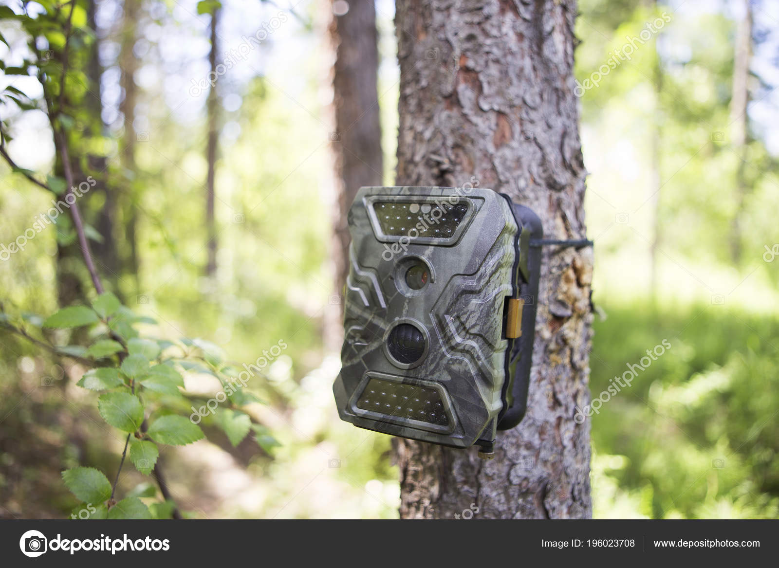 Camera Traps Infrared Light Motion Detector Attached Straps Tree - Main Image