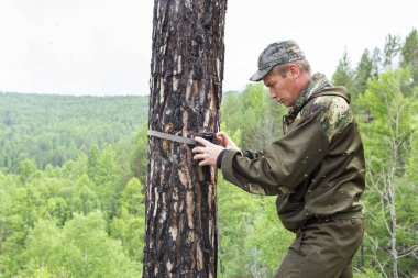 Kamera kızılötesi ışık ve kayışlar Sibirya Tayga ağaç fotoğrafı hayvanlarda üzerinde tarafından eklenmiş bir hareket dedektörü ile yakalar