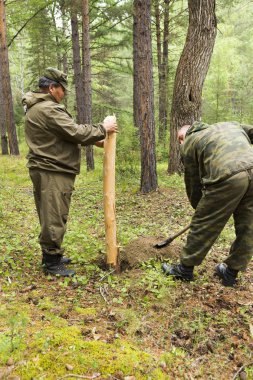 Ormancılık Müfettiş sıhhi ormanında felling için arsa dışarı işaretleme Ormancılar oluşan bir grupla. Ormancılar, çalışma iskele sıhhi ormanında felling sitesinin işaretleme kurmak.