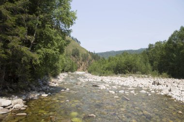 Açık havada dağlık nehirde Sibirya