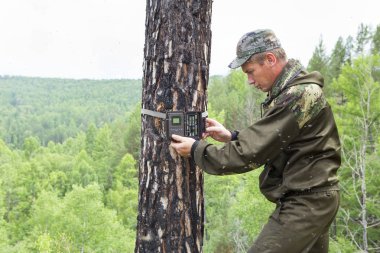 Kamera kızılötesi ışık ve kayışlar Sibirya Tayga ağaç fotoğrafı hayvanlarda üzerinde tarafından eklenmiş bir hareket dedektörü ile yakalar