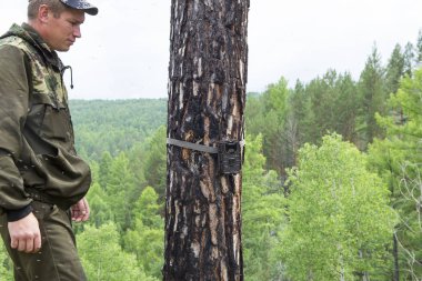 Kamera kızılötesi ışık ve kayışlar Sibirya Tayga ağaç fotoğrafı hayvanlarda üzerinde tarafından eklenmiş bir hareket dedektörü ile yakalar