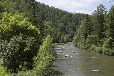 Açık havada dağlık nehirde Sibirya