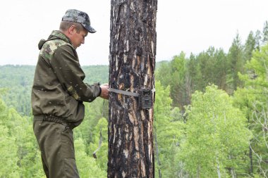 Kamera kızılötesi ışık ve kayışlar Sibirya Tayga ağaç fotoğrafı hayvanlarda üzerinde tarafından eklenmiş bir hareket dedektörü ile yakalar