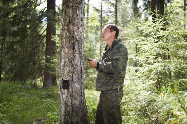 Camera traps with infrared light and a motion detector attached by straps on a tree photograph animals in the Siberian taiga