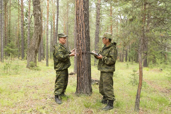 Ağaç ağaç gövdesi ile bir gövde kalınlığı ölçme aygıtı ile çap ölçümü