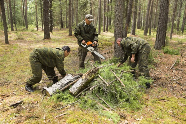 Ormancılar kesme ve eski ve kuru dalları yığılmış. Orman Temizleme. Bir ağaç kesme kuru dalları büyük bir yığın. Yoğun bir orman içinde düşen ağaçlar.