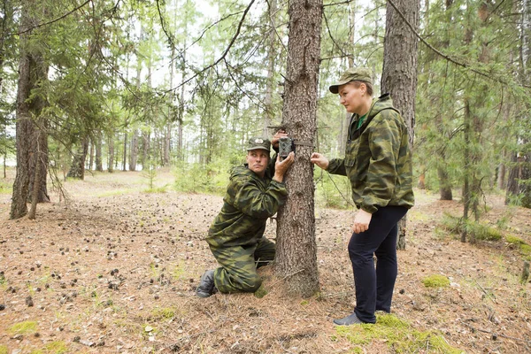 Camera traps with infrared light and a motion detector attached by straps on a tree photograph animals in the Siberian taiga