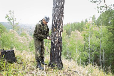 Kamera kızılötesi ışık ve kayışlar Sibirya Tayga ağaç fotoğrafı hayvanlarda üzerinde tarafından eklenmiş bir hareket dedektörü ile yakalar
