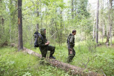 Yetişkin erkekler kamuflaj omuzlarında sırt çantaları ile şeklinde güneşli ormanda yolunu izleyin. Ormancılar parkta Sibirya Tayga incelemek.