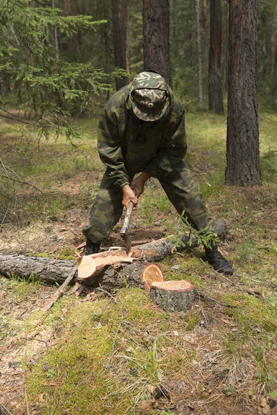 Forest inspector with a group of foresters, marking the site for sanitary felling of the forest. Production of the index of the direction of sanitary felling of wood in the Siberian taiga by an ax. The inspector of the forest carpenter\'s ax removes b