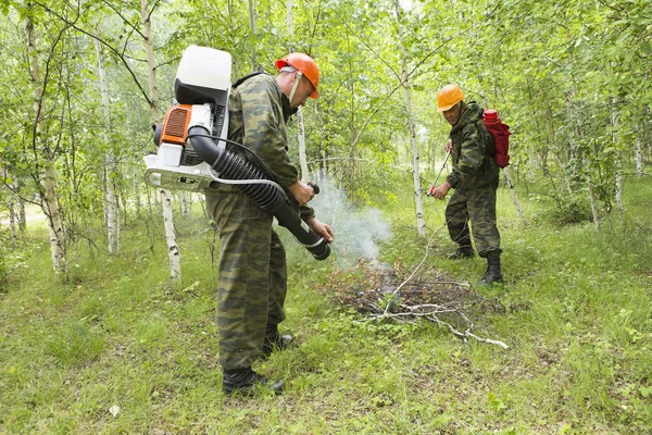 Лесные Пожарные Проводят Учения Предотвращению Пожара Лесу Пожарные Потушили Огонь — стоковое фото