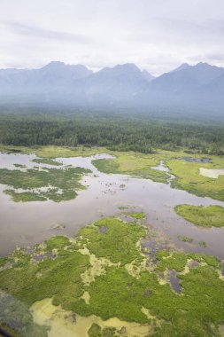Nehirler ve göller Doğu Sibirya üzerinden yükseklik. Göller ve Sibirya Tayga nehre helikopter kokpit üzerinden bir görünüme