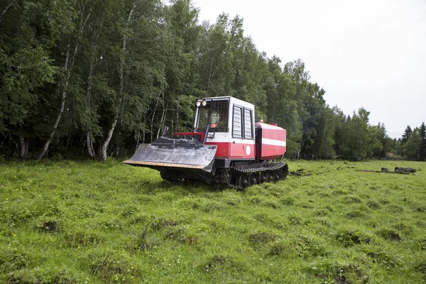 Tractor Deslizamiento Abre Tira Prevención Incendios Tractor Del Skidder Corta — Foto de Stock