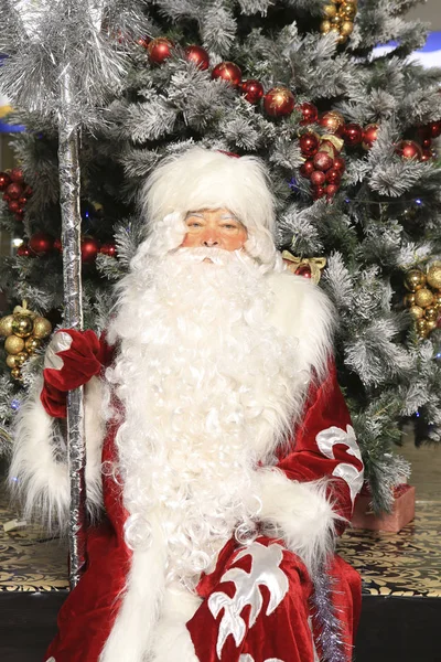 Papá Noel Ruso Está Sentado Bajo Árbol Navidad Vestido Con —  Fotos de Stock