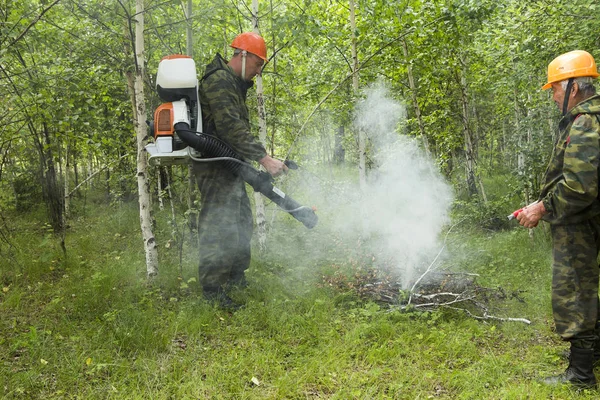Skog Brandmän Genomföra Övningar För Att Förhindra Att Brand Skogen — Stockfoto