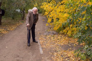 Yaşlı topal bir adam ormanda bir sopayla eğilip yürüyor.