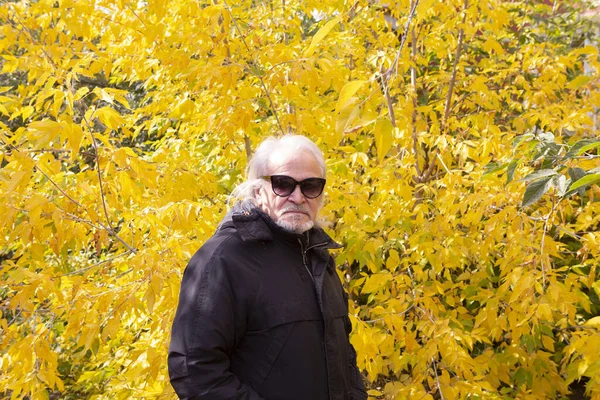 Nonno Elegantemente Vestito Cammina Attraverso Foresta Autunnale Tra Alberi Gialli — Foto Stock