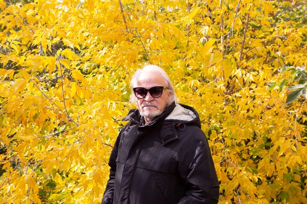 Elegantemente Vestido Avô Caminha Através Floresta Outono Entre Árvores Amarelas — Fotografia de Stock