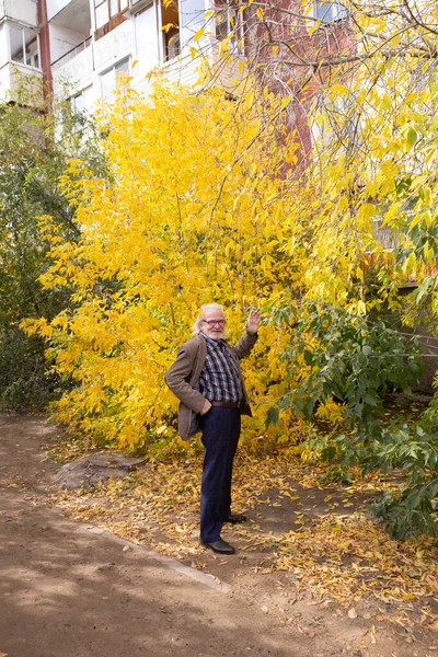 Elegantemente Vestido Avô Caminha Através Floresta Outono Entre Árvores Amarelas — Fotografia de Stock