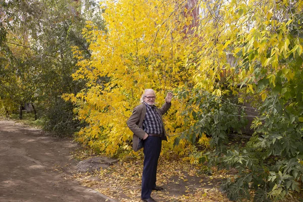 Nonno Elegantemente Vestito Cammina Attraverso Foresta Autunnale Tra Alberi Gialli — Foto Stock