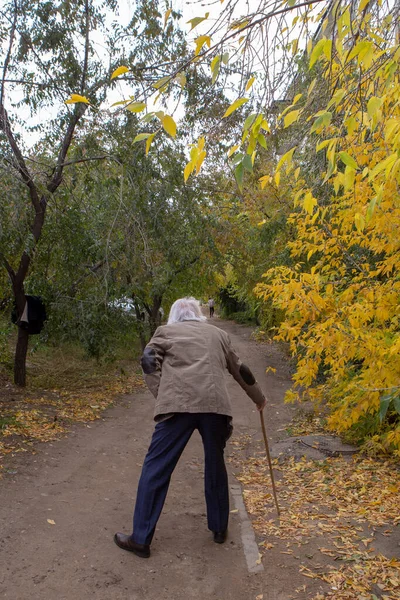 Lame Old Man Walks Bending Forest Leaning Stick — Stock Photo, Image