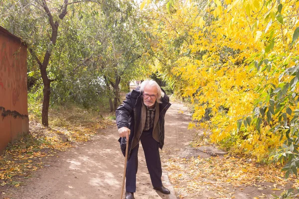 木の棒にもたれかかる森の中を歩く老人 — ストック写真