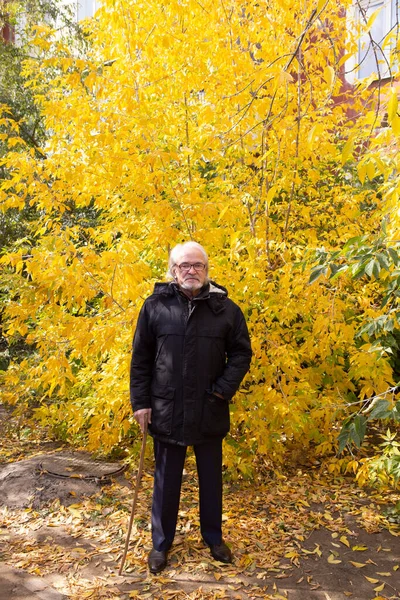 木の棒にもたれかかる森の中を歩く老人 — ストック写真