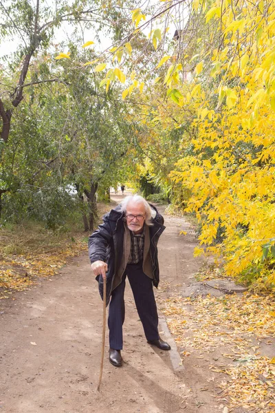Vecchio Zoppo Cammina Piegandosi Attraverso Foresta Appoggiato Bastone — Foto Stock