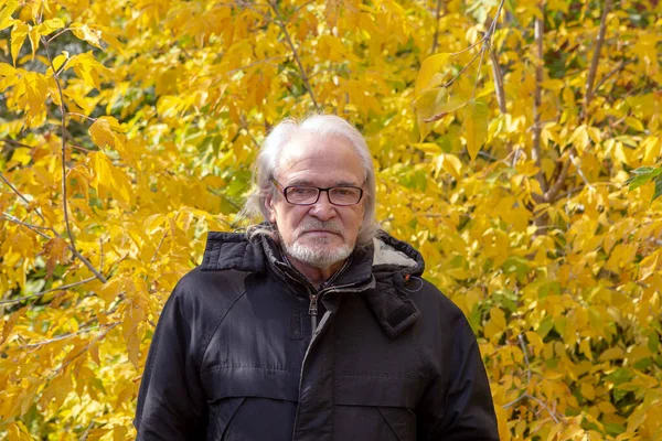 Elegant Geklede Grootvader Wandelt Door Het Herfstbos Tussen Felgele Bomen — Stockfoto